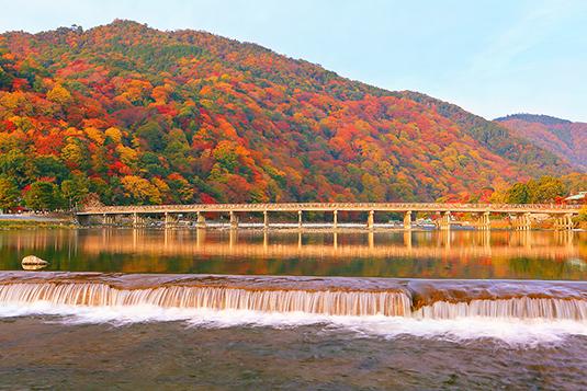 嵐山の紅葉シーズンがやってきました